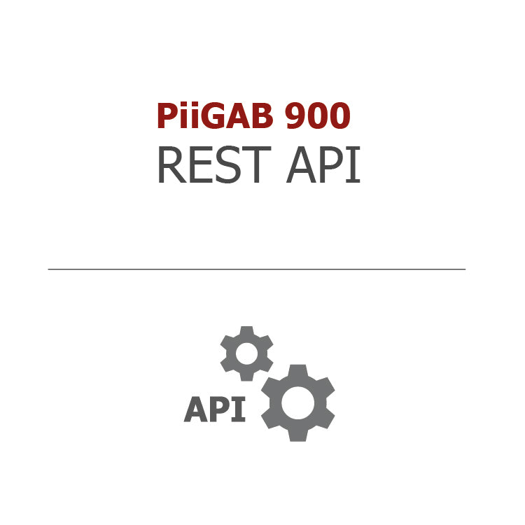 PiiGAB REST API-licens – Aktivering